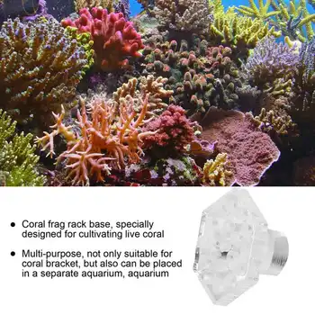 10шт Стойка для осколков кораллов Шестигранный Держатель Акриловая Прозрачная Подставка Аксессуары для аквариумных рыбок