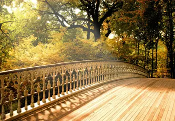 Мост Осенний лес Деревья фон для фотостудии Высококачественная компьютерная печать свадебный фон